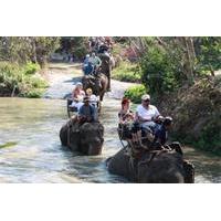 Elephant Trekking from Pattaya