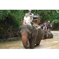 Elephant Trekking in Pattaya