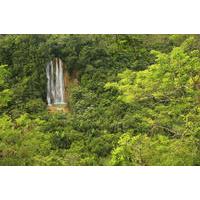 El Limón Waterfall and Plantation Tour from Samaná