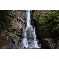 El Yunque Rainforest Nature Walk and Bioluminescent Bay Kayaking Combo Tour