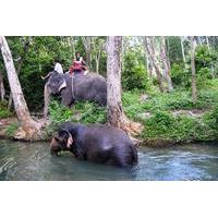 Elephant Trekking in the Jungle of Krabi