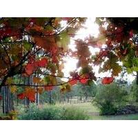 Elfin Hill Country Accommodation