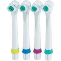 Electric toothbrush brush attachments AEG 599994 für EZ 5622 und EZ 5623 4 pc(s) White