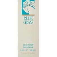Elizabeth Arden Grass Eau de Parfum - 100 ml, Blue