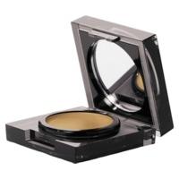 Elizabeth Arden Flawless Finish Maximum Coverage Concealer