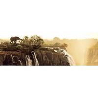 elephant panoramic jigsaw puzzle