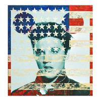 elvis flag by david scheinmann