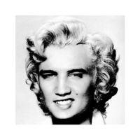 Elvis - Marilyn By David Scheinmann