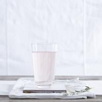 Elgin Highball Tumbler