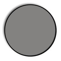 elinchrom 21cm polarising filter