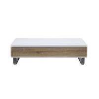Elevate Storage Coffee Table