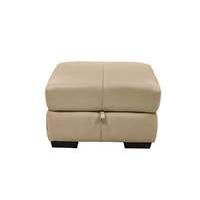 Elixir Leather Storage Footstool