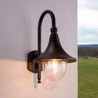 Elegant Daphne outdoor wall light in black