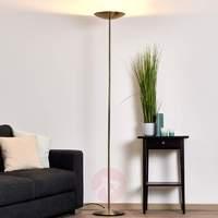 Elegant Illy floor lamp, bronze