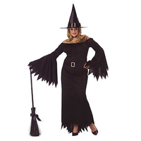 Elegant Witch Plus Size