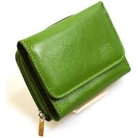 Elkor 5040 men\'s Purse wallet in green