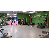 Elite Physique Gym