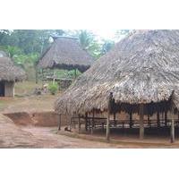 Embera Village and Jungle Tour from Panama City