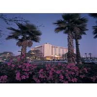 Embassy Suites Tampa-USF-Near Busch Gardens