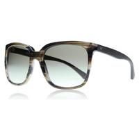 Emporio Armani 4049 Sunglasses Striped Grey 538511