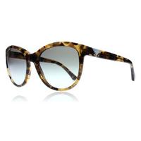 emporio armani 4076 sunglasses tortoise 554011 56mm