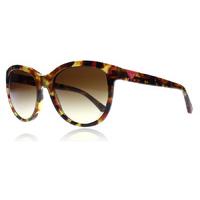 emporio armani 4076 sunglasses multi coloured tortoise 554113 56mm