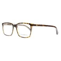 emporio armani ea3074 5465 tortoise