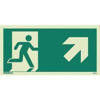 emergency exit sign 150 x 300 rigid