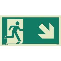 emergency exit sign 150 x 300 rigid