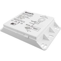 Emergency LED Module for DD Lamps