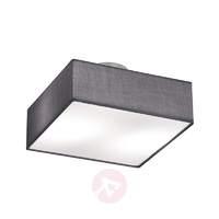 embassy 2 bulb ceiling light in anthracite