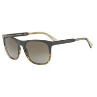 Emporio Armani Sunglasses EA4099 557113