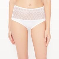 embroidered tulle full briefs