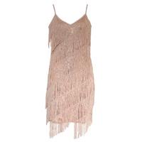 Embellished Fringe Dress