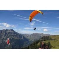 Engelberg Tandem Paragliding Tour with Instruction