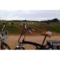 environmental park bike tour from vilamoura