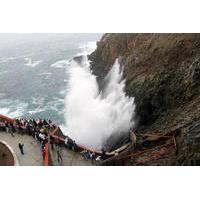 ensenada shore excursion blow hole and la bufadora tour with horseback ...