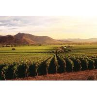 ensenada shore excursion entre santos and el cielo winery tours with l ...