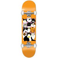 Enjoi Cat Collage V2 First Push Complete Skateboard - 7.625\