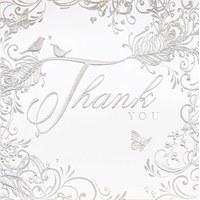 enchanting feather design thank you cards 6 pack