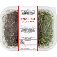 English Salad Mix (each)