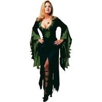 Enchantra Fancy Dress Costume (adult size 8-12)