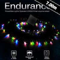 Endurance Colour Change Stringlight