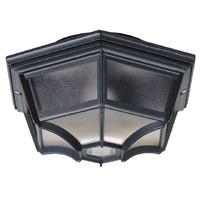 Endon Lighting Black Aluminium Porch Light