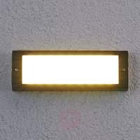 Energy saving Rachel LED outdoor wall light