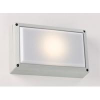 Endon EL-40036-SIL Rectangular Outdoor Wall Light With Silver Finish