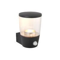 Endon 67698 Canillo PIR 1 Light Wall Light In Textured Dark Matt Antracite And Clear Plastic