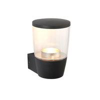 Endon 67697 Canillo 1 Light Wall Light In Textured Dark Matt Anthracite And Clear Plastic