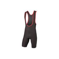 Endura Thermolite Winter Bibshort | Black - XXL