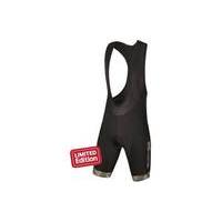 Endura M90 Graphics LTD Bibshort | Green - XL